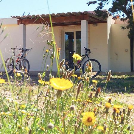 La Casita Yolanda, Ideal Parejas - Formentera Natural Sant Ferran de Ses Roques Εξωτερικό φωτογραφία