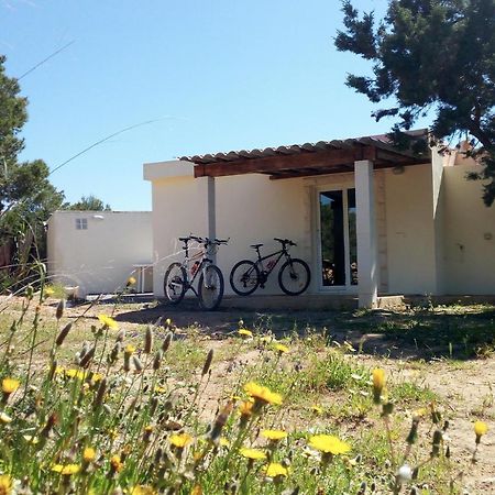 La Casita Yolanda, Ideal Parejas - Formentera Natural Sant Ferran de Ses Roques Εξωτερικό φωτογραφία